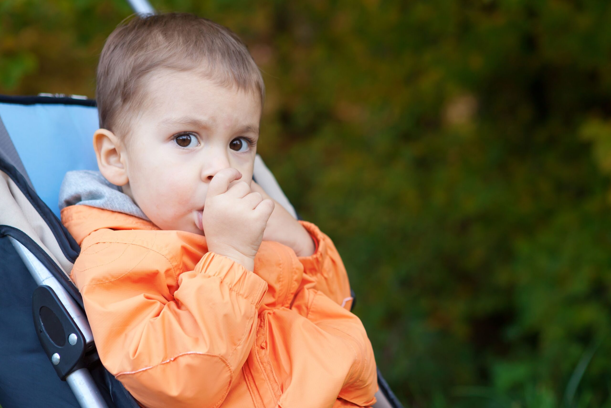 Building Healthy Smiles - A Parent's Guide to Children's Dentistry